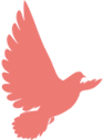 640.png